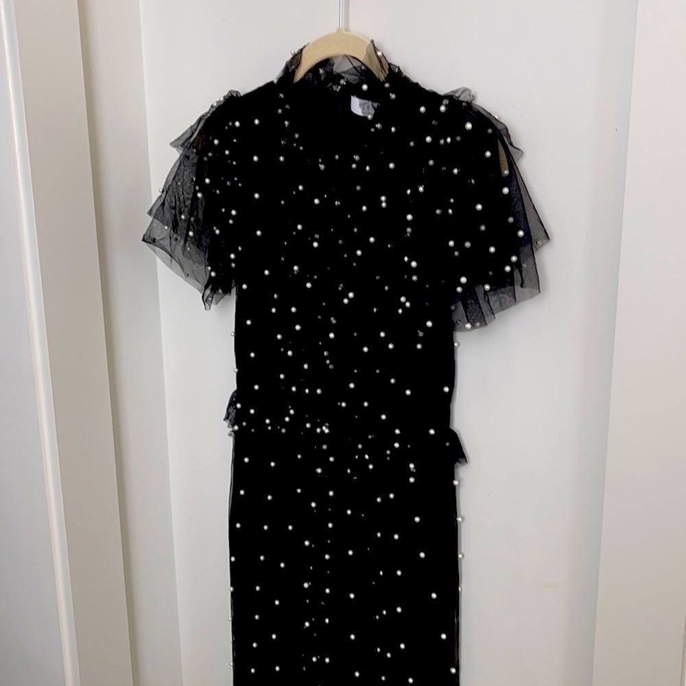 Beautiful NWT pearl Hunter Bell holiday dress! Stunning! Size 0